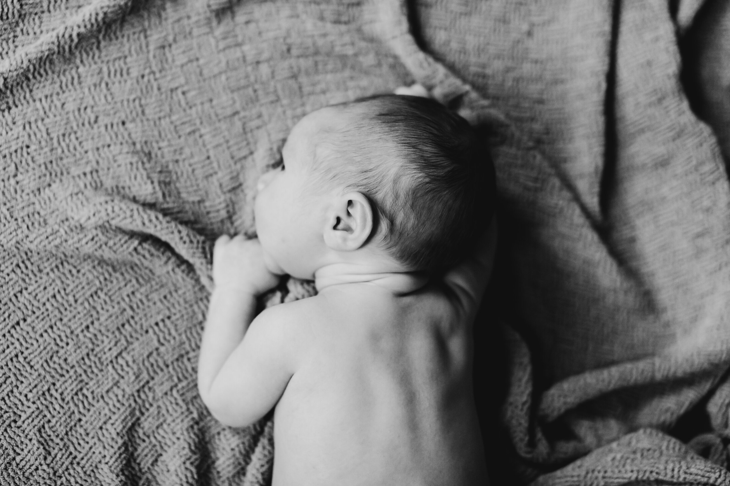 LoganNewborn-218.jpg