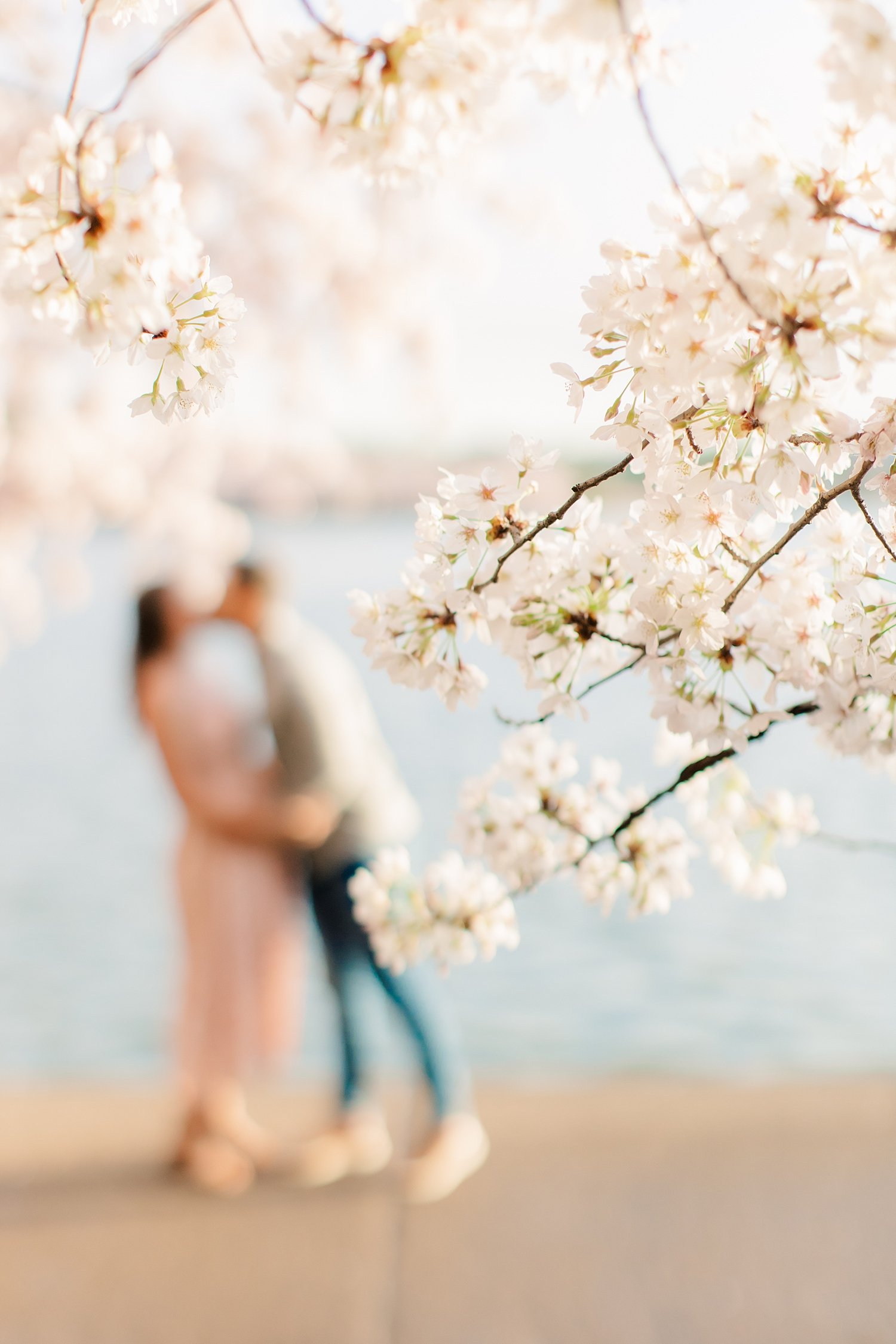 sarah-schmidt-photography-dc-wedding-photographer-tidal-basin-cherry-blossom-engagement-session_0020.jpg