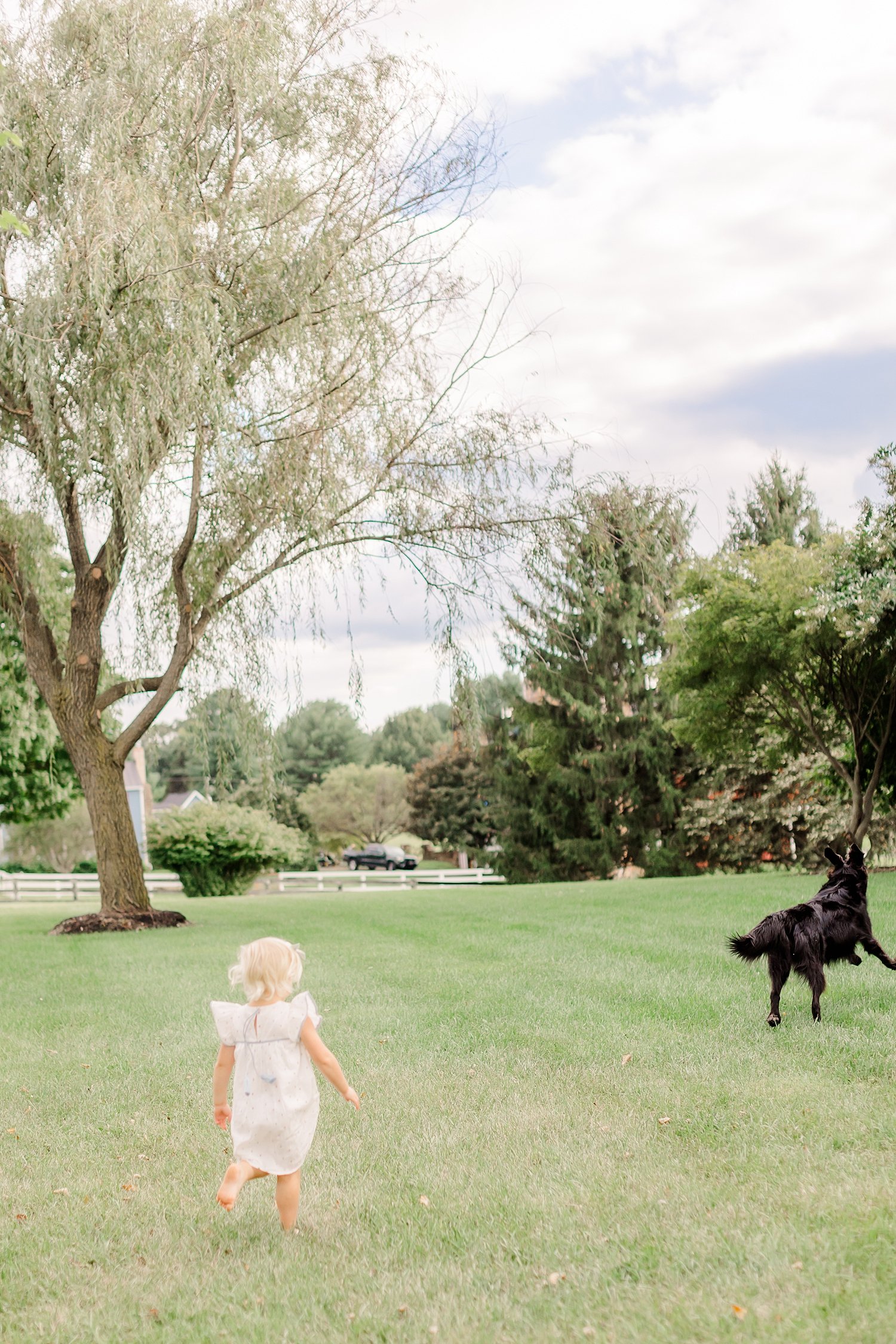 sarah-schmidt-photography-virginia-family-photographer-summer-family-session-in-a-virginia-field_0009.jpg