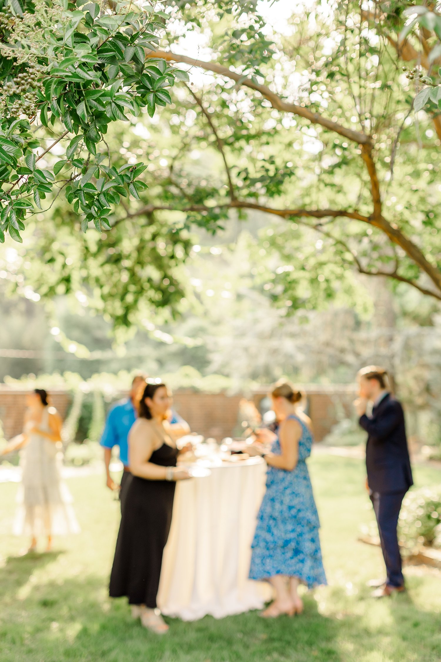 sarah-schmidt-photography-virginia-wedding-photographer-river-farm-wedding-summer_0071.jpg