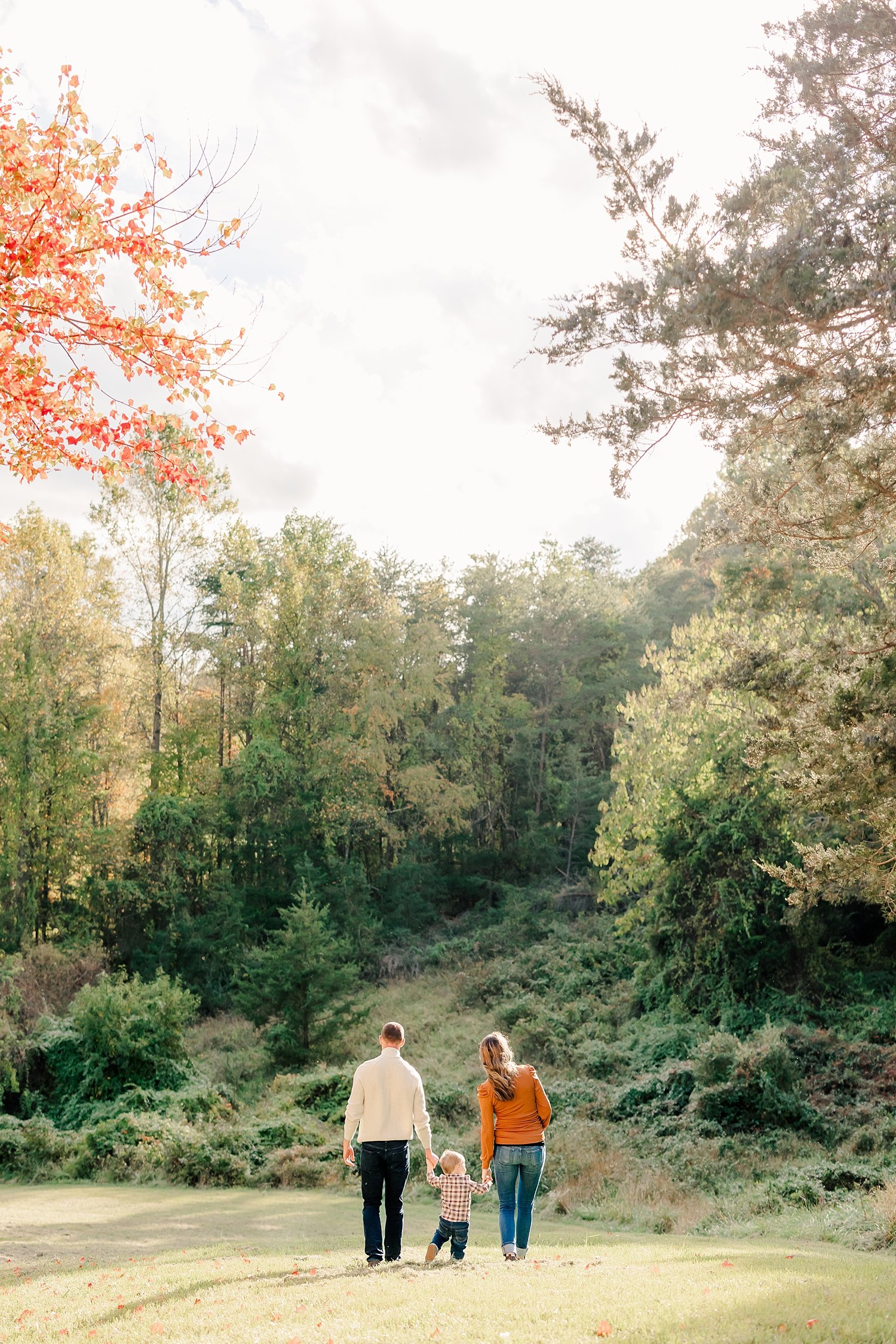 sarah-schmidt-photography-virginia-family-photographer-fall-foliage-family-maternity-session_0022.jpg