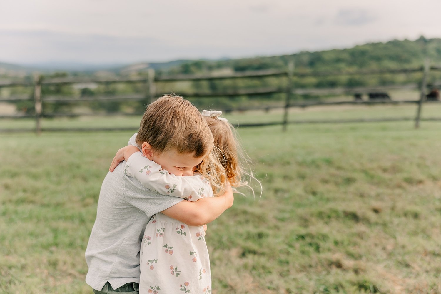 sarah-schmidt-photography-virginia-family-photographer-family-session-at-the-farm_0022.jpg