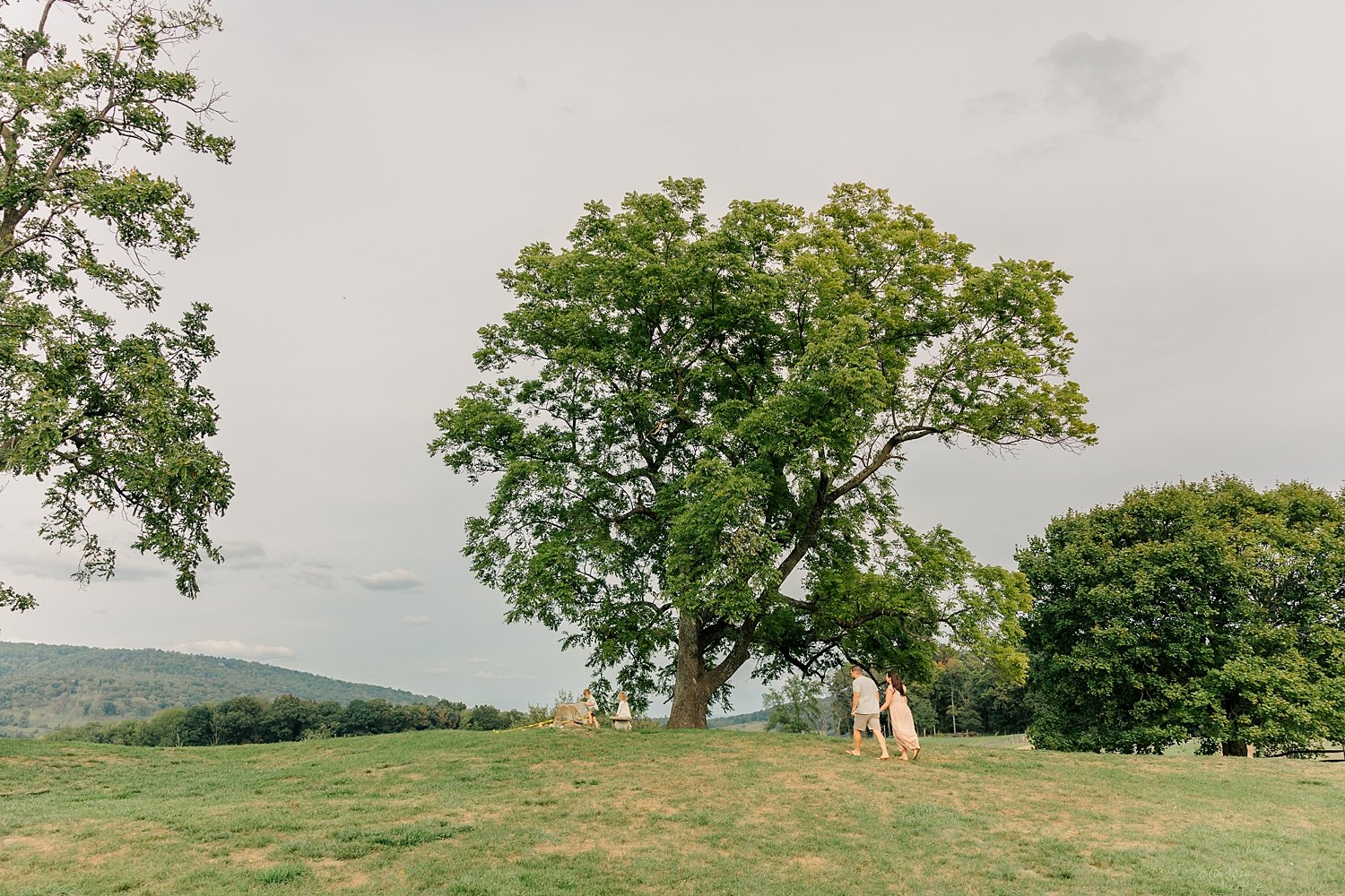 sarah-schmidt-photography-virginia-family-photographer-family-session-at-the-farm_0040.jpg