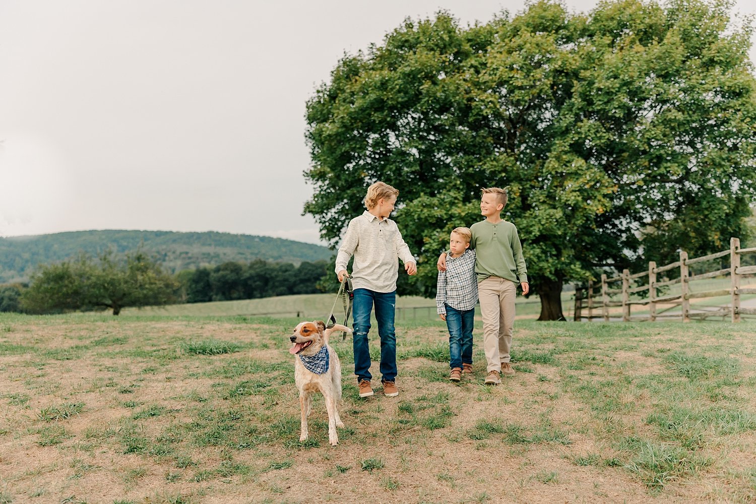 sarah-schmidt-photography-virginia-family-photographer-farm-family-session_0032.jpg