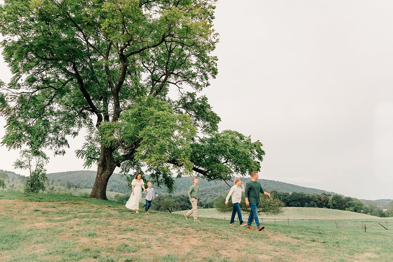 sarah-schmidt-photography-virginia-family-photographer-farm-family-session_0034.jpg