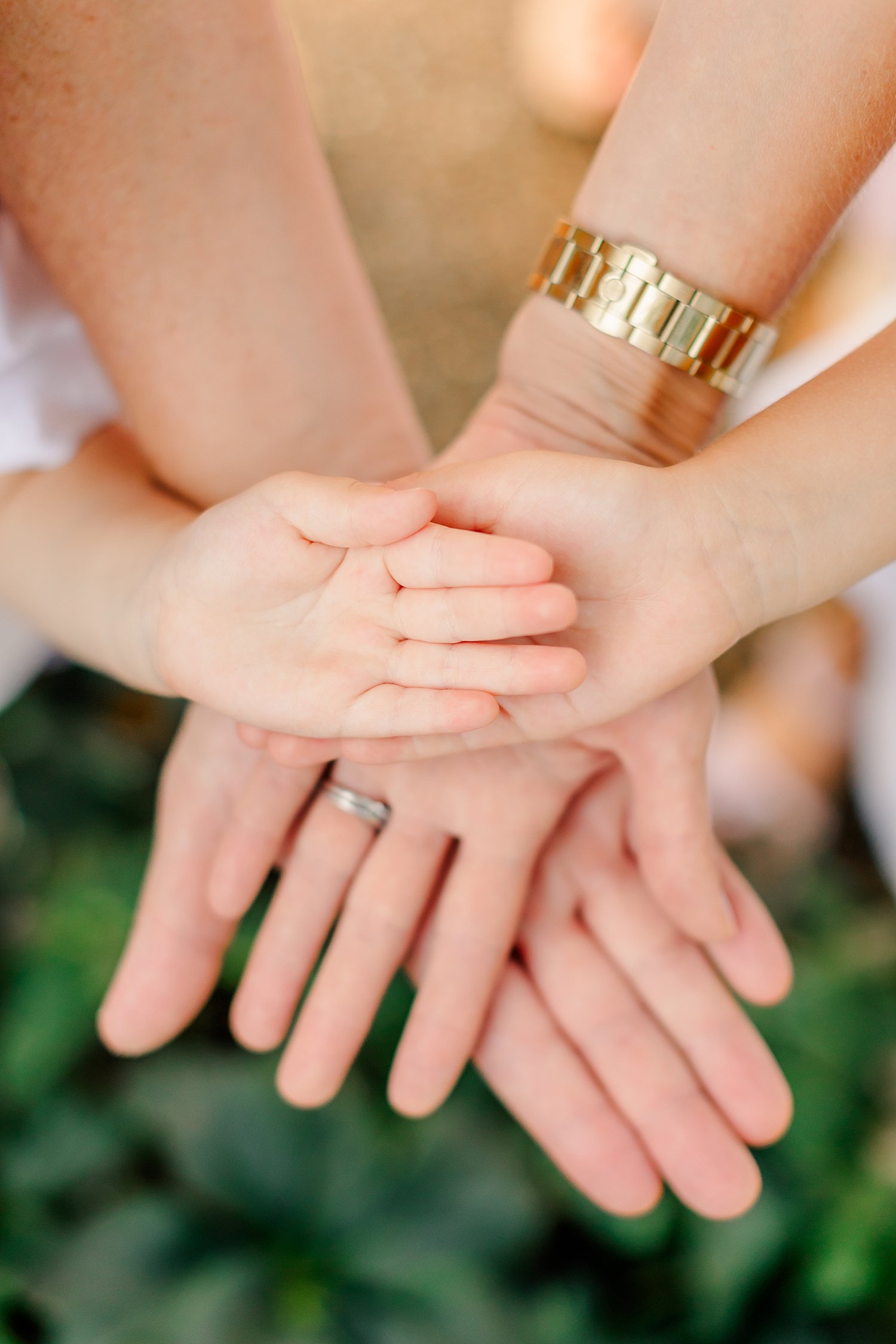 sarah-schmidt-photography-virginia-family-photographer-joyful-spring-garden-family-session_0001.jpg