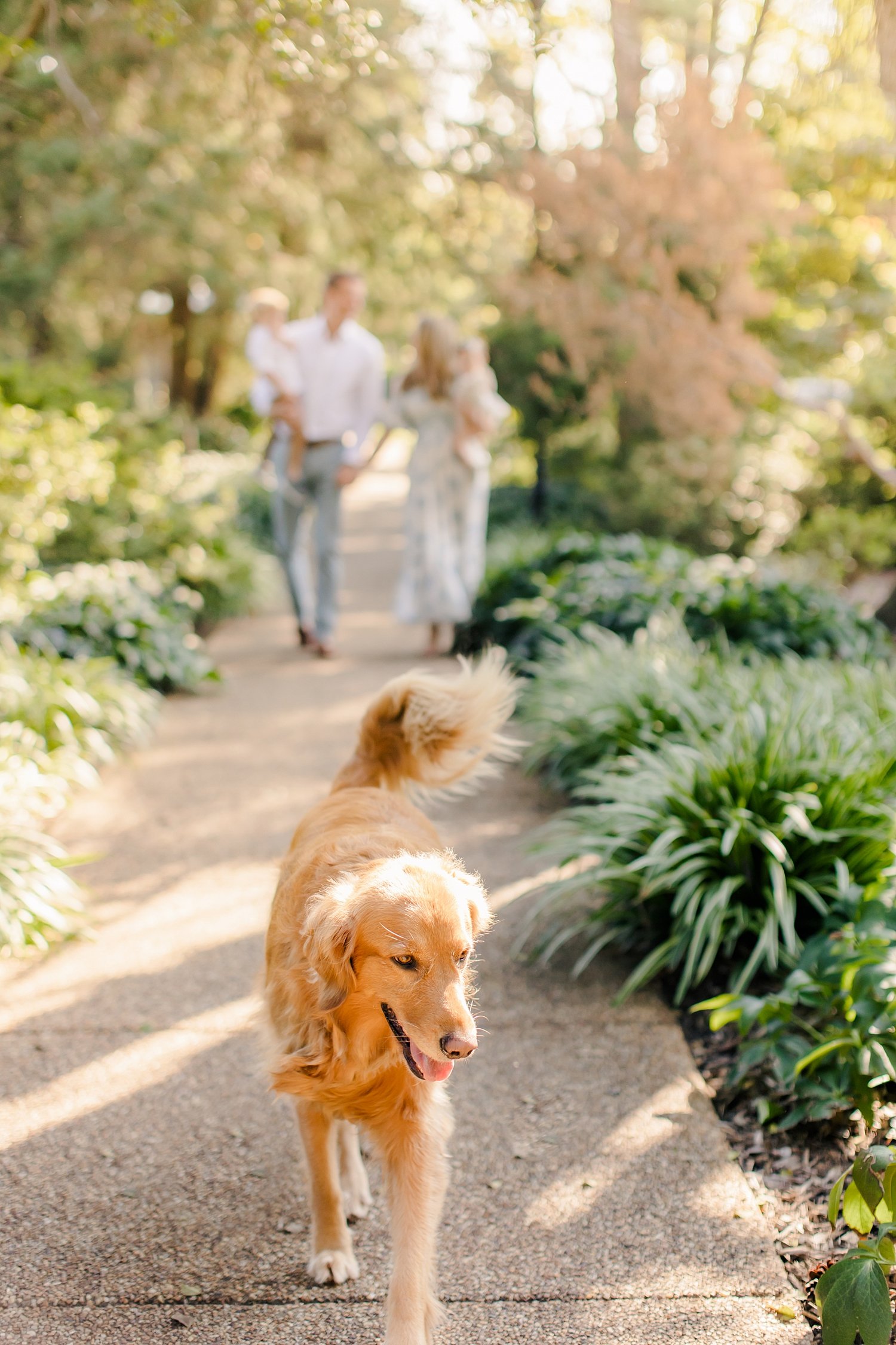 sarah-schmidt-photography-virginia-family-photographer-spring-family-session-with-golden-retriever_0008.jpg